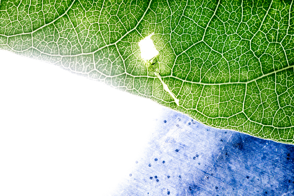 Ecoplast | Çevre Politikamız