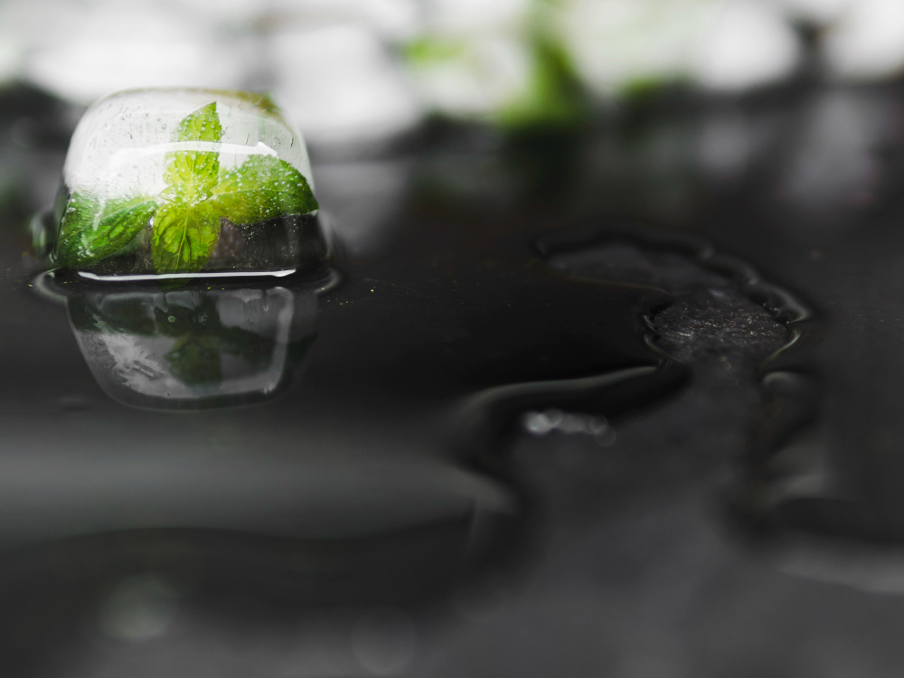 Ecoplast | Çevre Politikamız