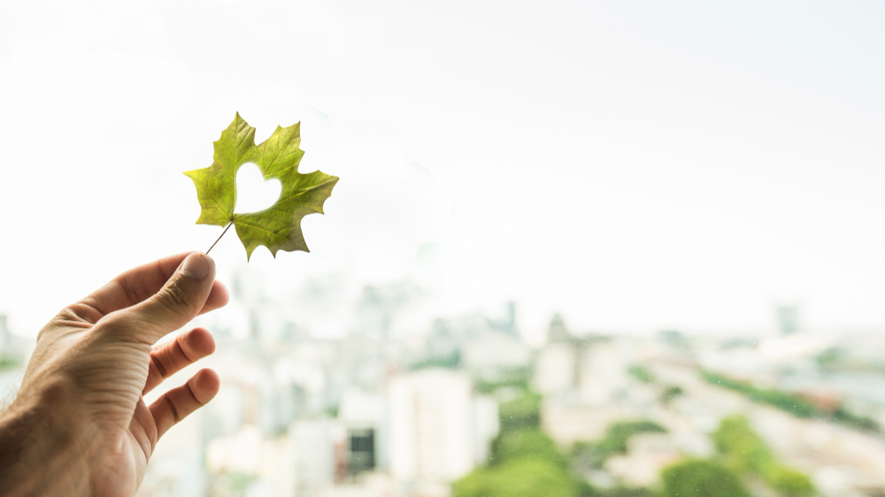 Ecoplast | Çevre Politikamız